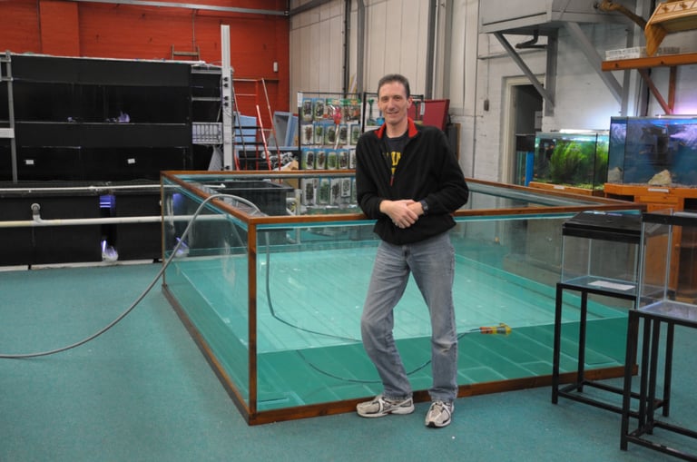 All Glass Fish Tanks Made To Measure, Lowest Prices Possible