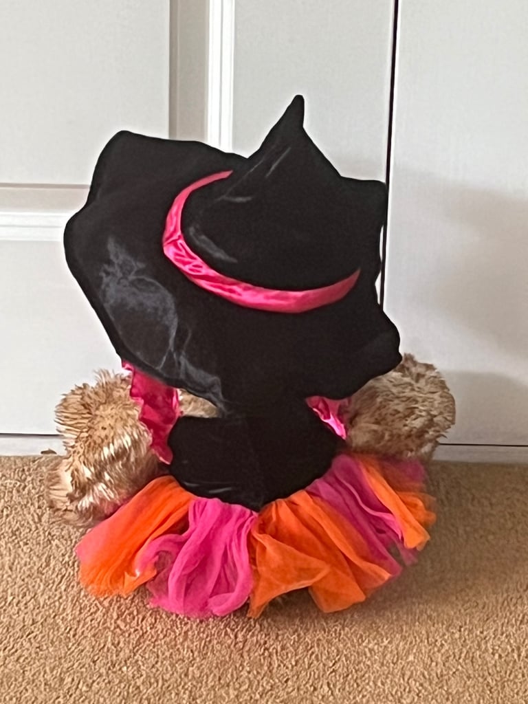 Build a Bear Halloween Black Purple Witch Dress Hat Costume Outfit Halloween