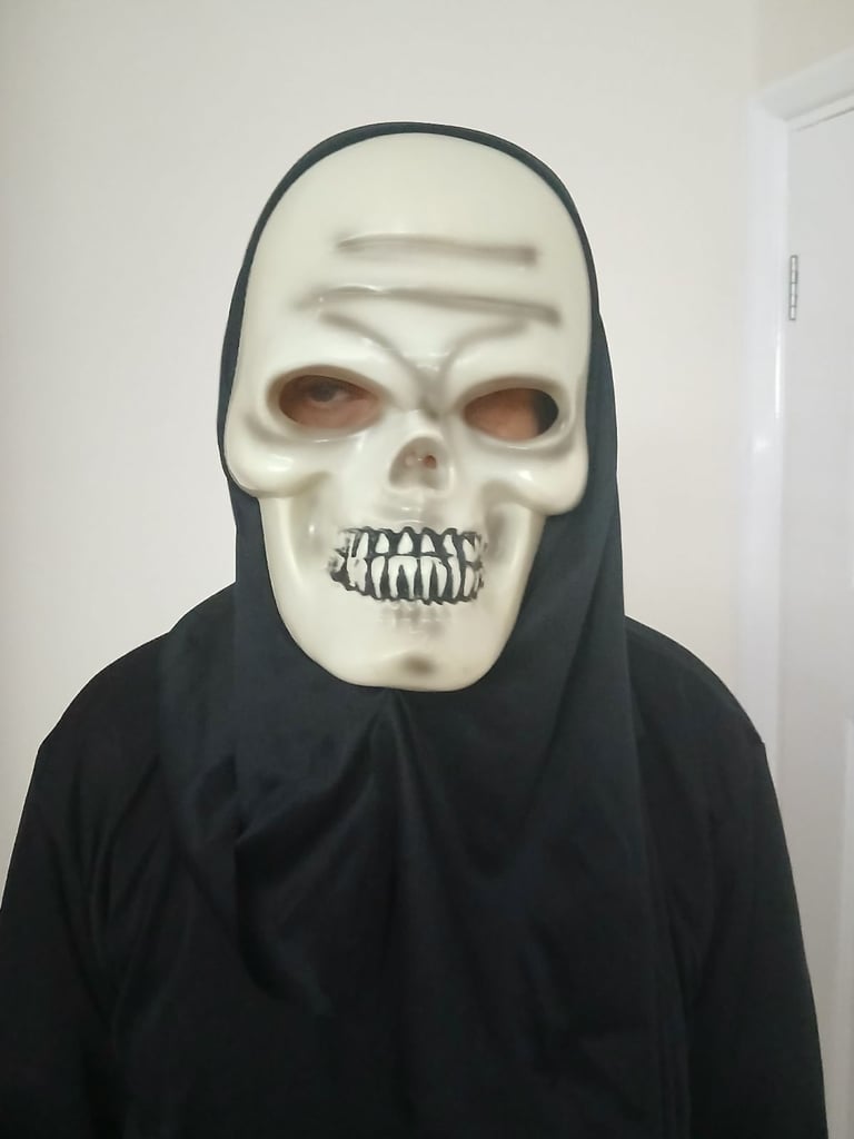 Halloween fancy dress masks