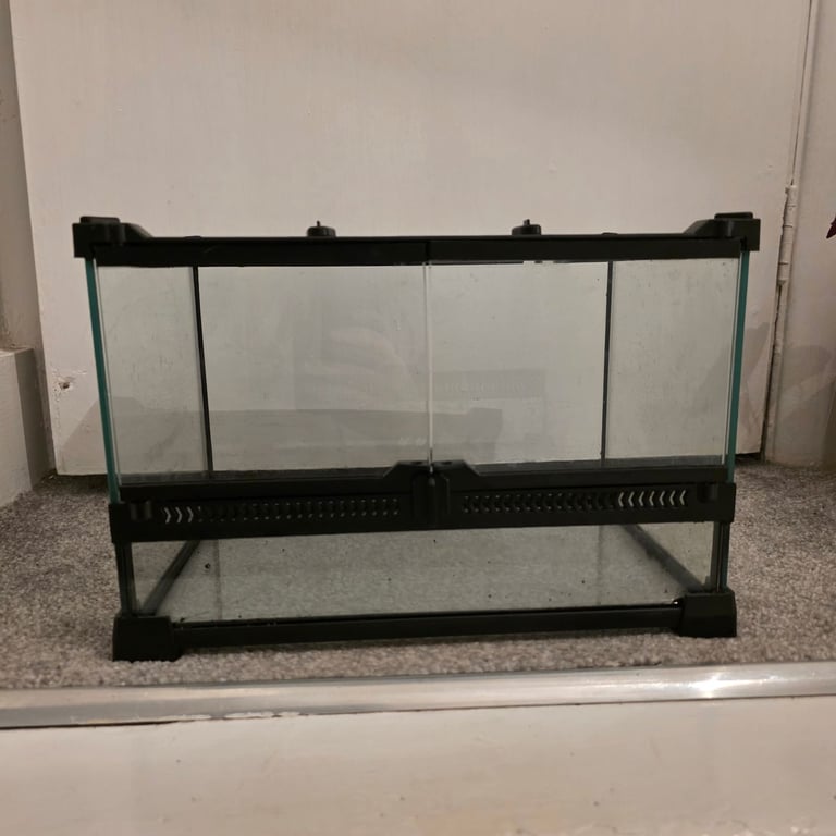 Reptile Mini Glass Terrarrium, Enclosure