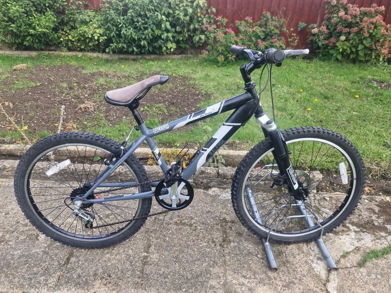 BOYS TEENAGER YOUTH RALEIGH ARI RAID 24 INCH WHEELS 13 INCH FRAME 5 SPEED BIKE BICYCLE