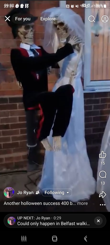 image for Bride groom animitronics 