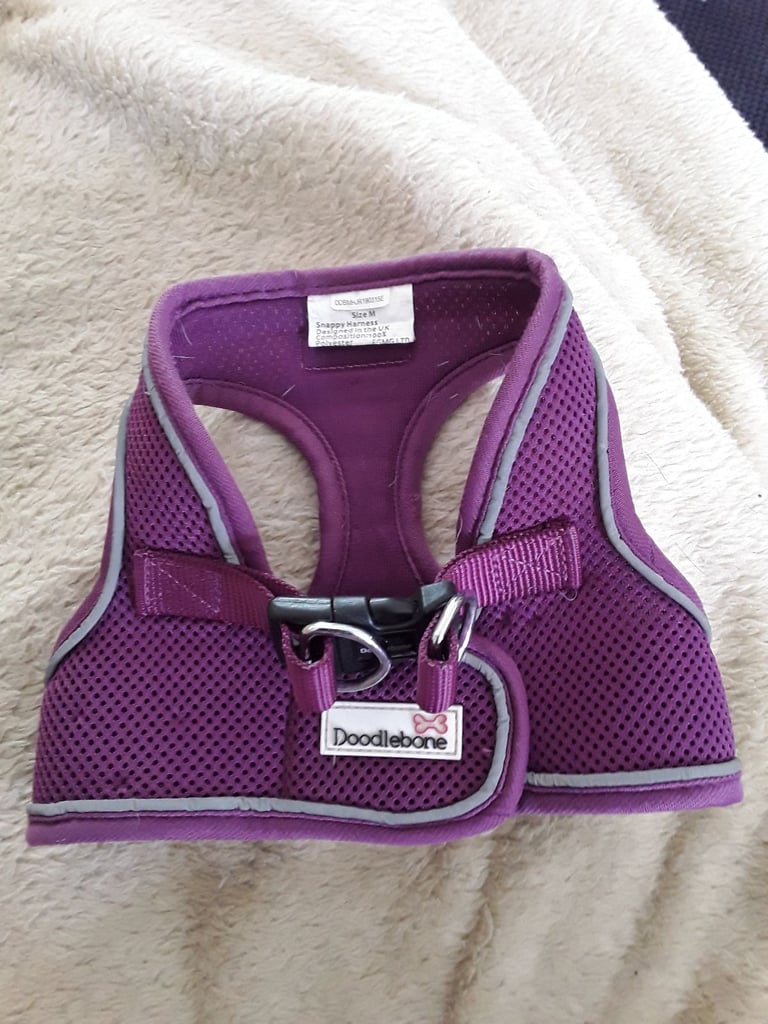 Dog harness