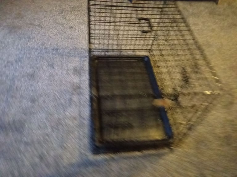 image for Dog Crate
