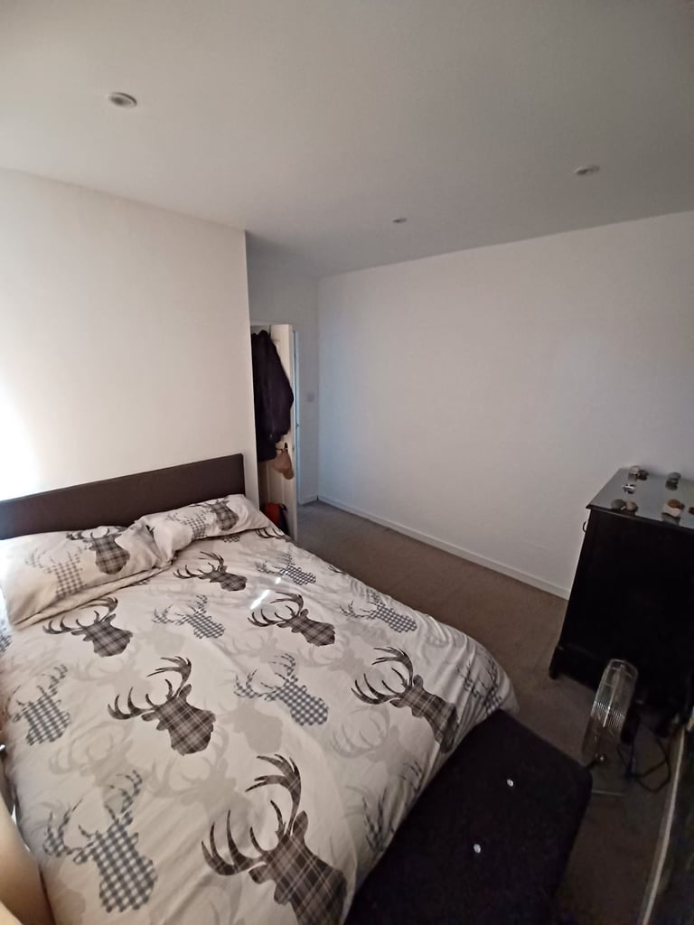 Room for rent - single person only