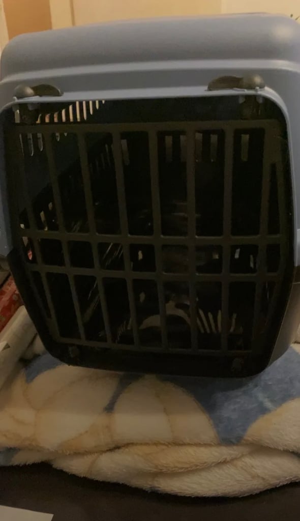 Pet carrier