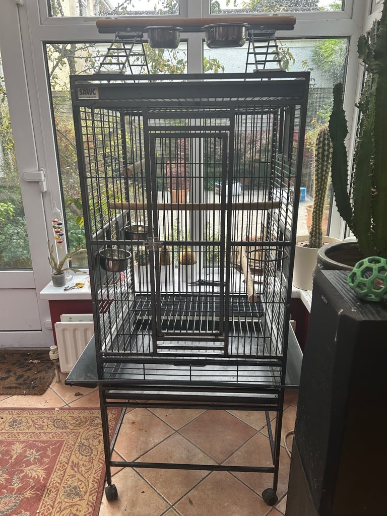 Large bird cage