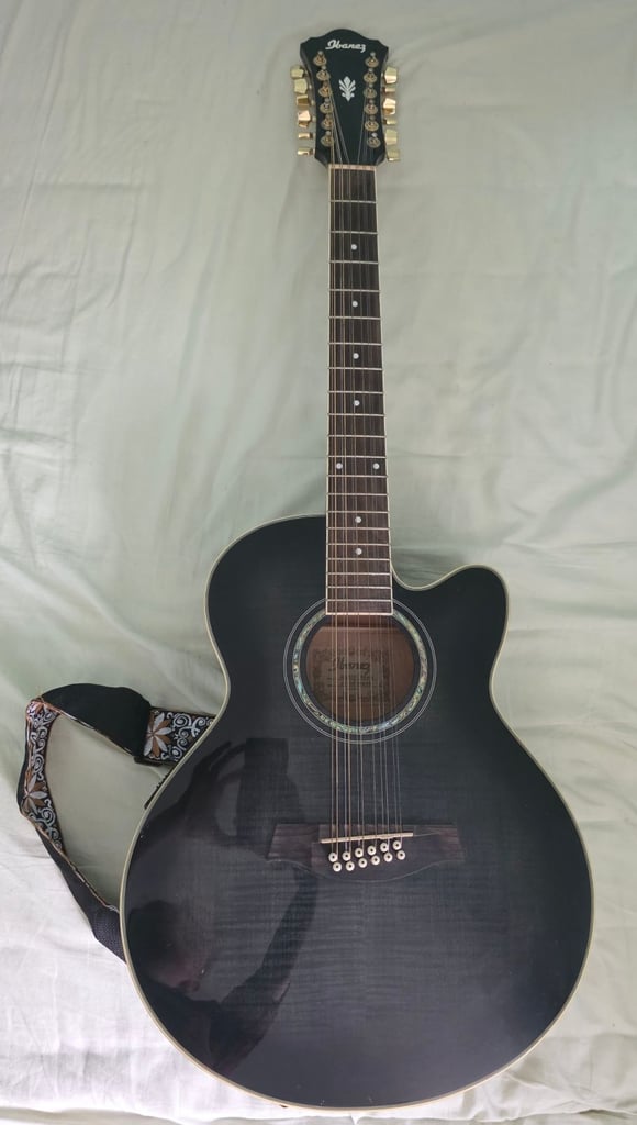 Ibanez AEL2012E 12 String Electric Acoustic Guitar