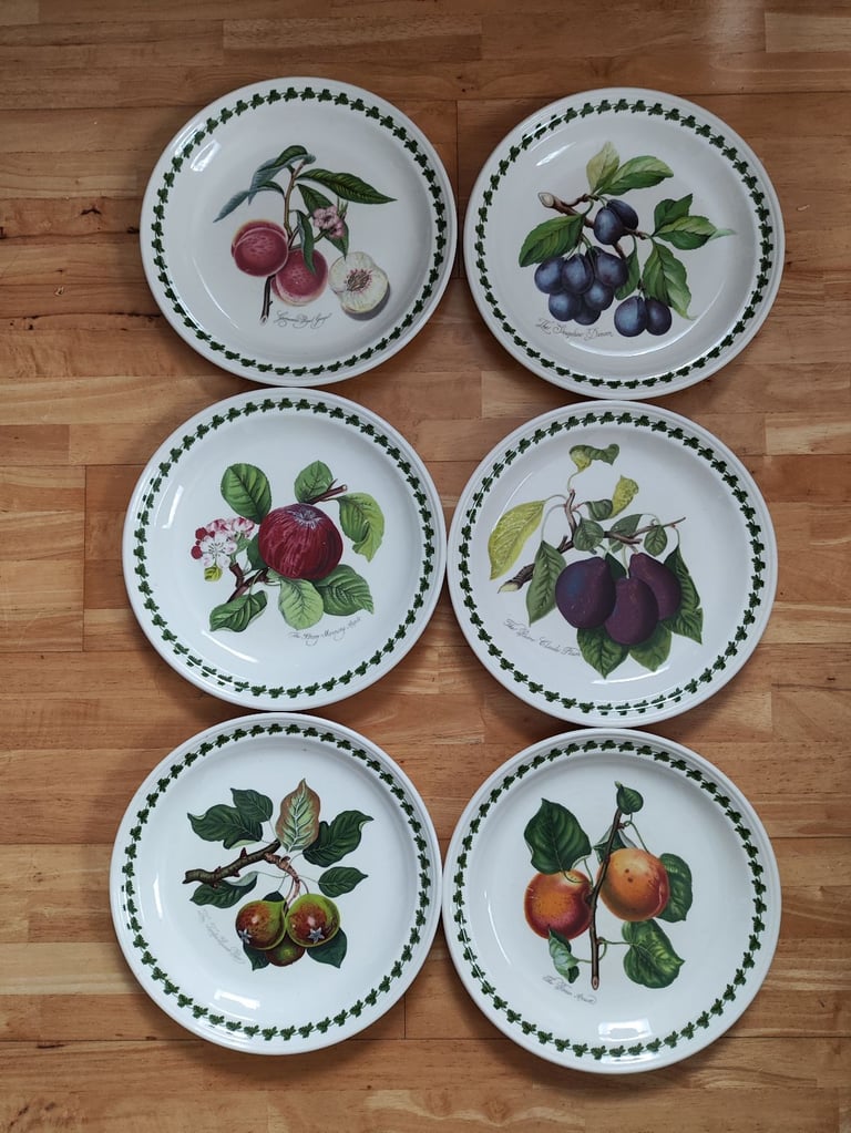 6 Large 27cm 10.5 Inch Portmeirion Serving Dishes 