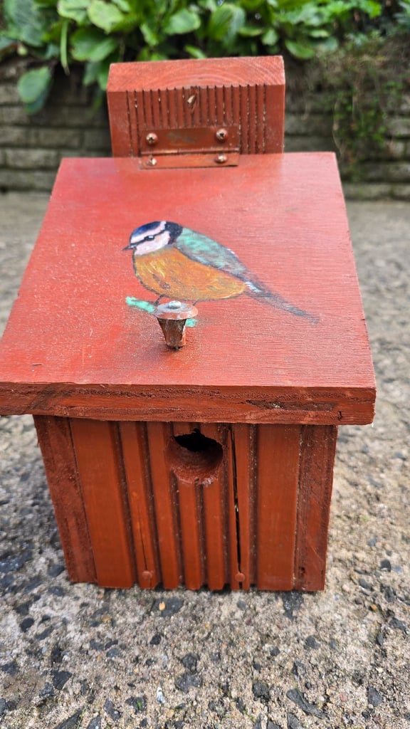 image for Bird boxes - feeding & nesting 🪹 🐦