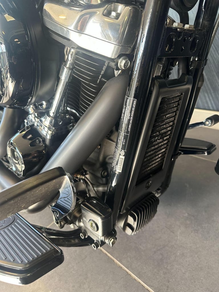 2019 Harley-Davidson Softail 1745 FLSL Slim Euro 4