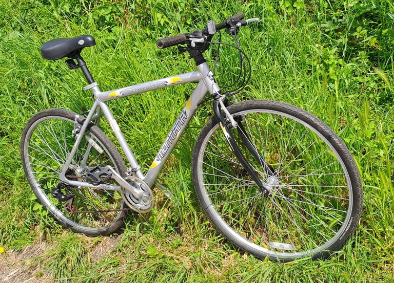 Hybrid aluminium frame townbike 