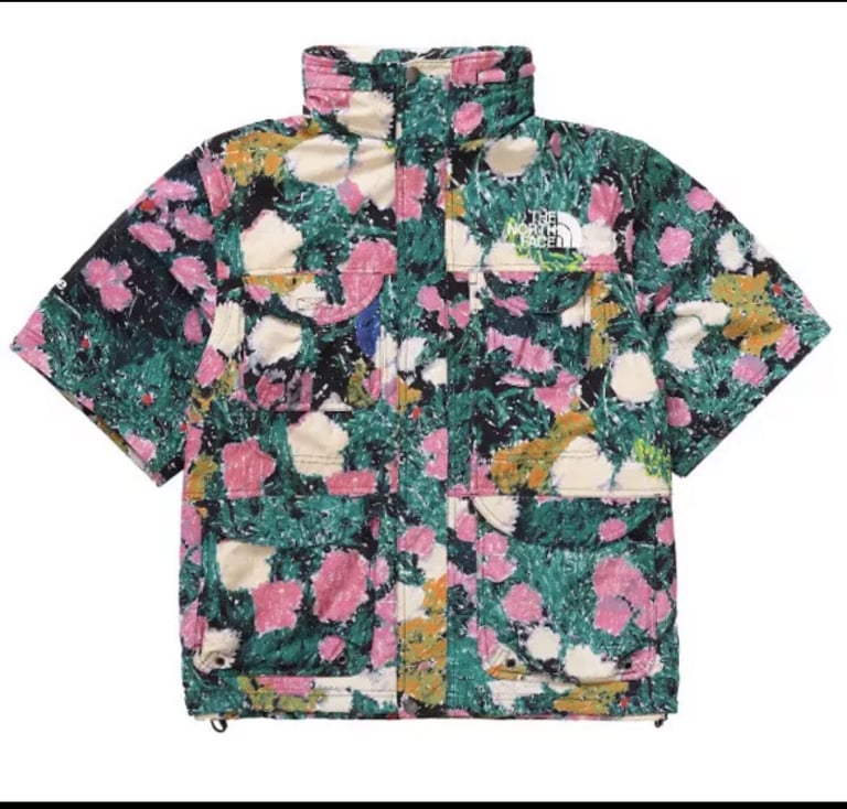 Supreme north face rare 