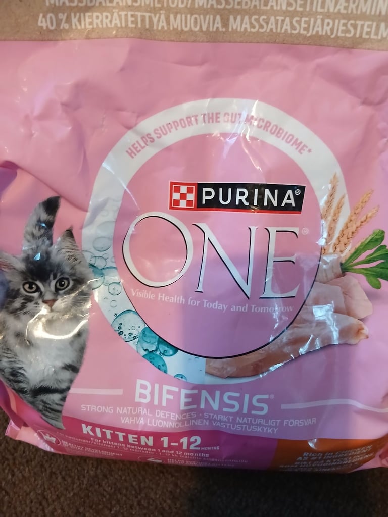Cat assesories 