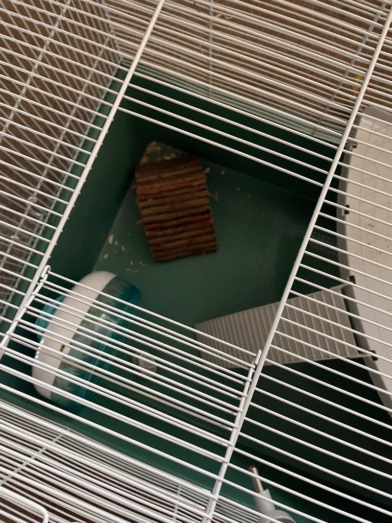 Large hamsters gerbils etc cage 