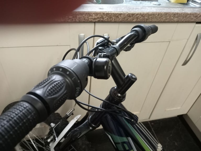 Arden Peak Mountain Bike