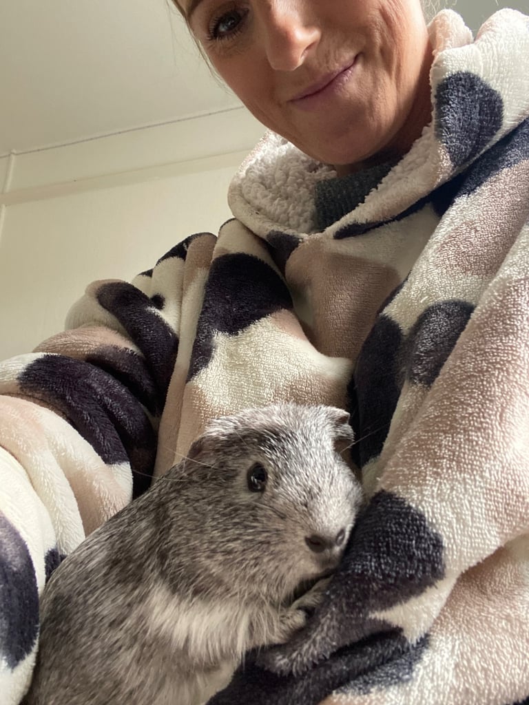 Guinea pigs x2 boys fully bonded 