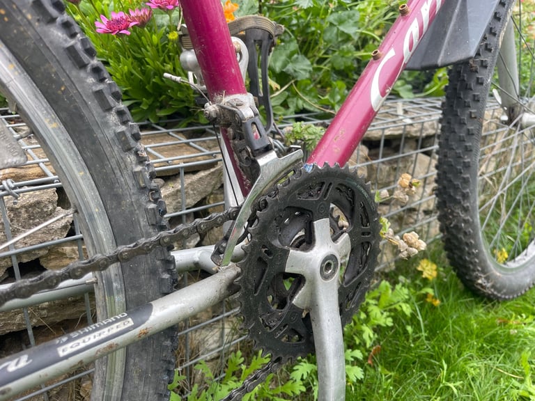 Men’s Carrera Bike