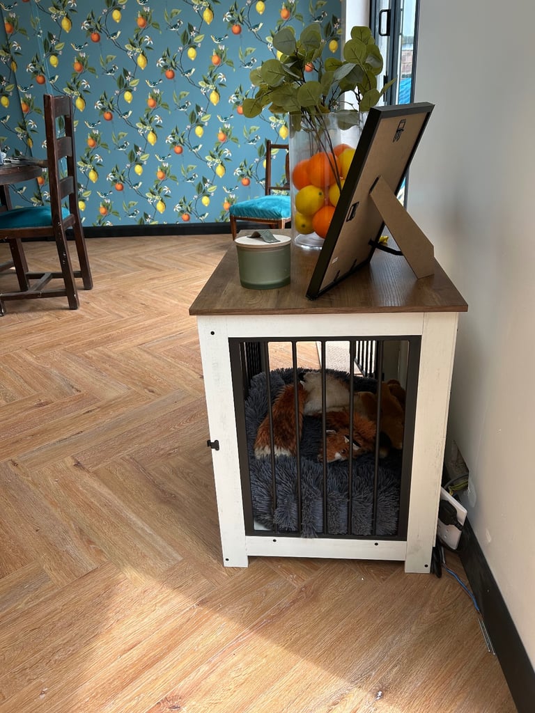 Table dog crate