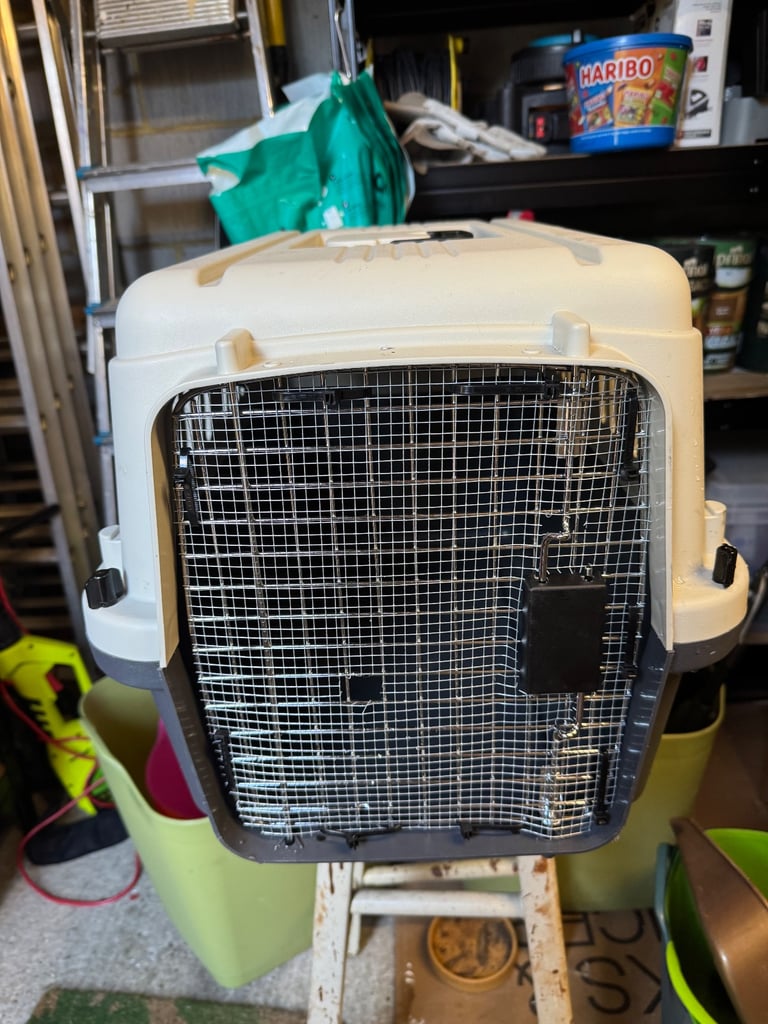 FREE CAT CARRIER (or small dog)