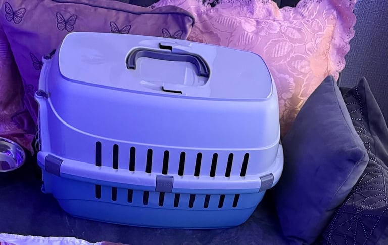 image for Pet carrier & Matt used twice 