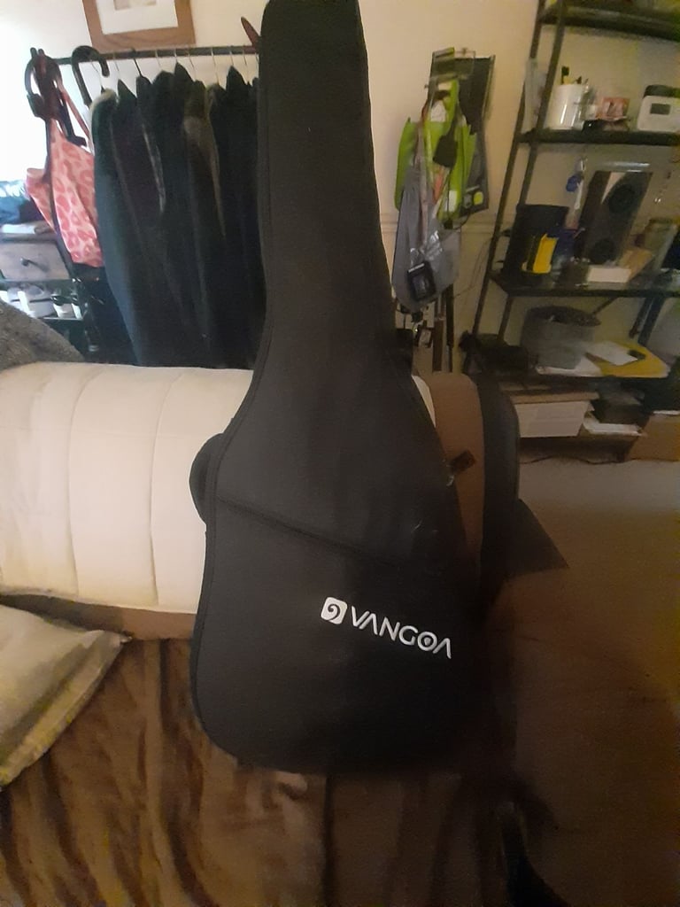 12 String Semi Acoustic Vangoa guitar