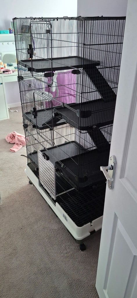 Rat/Chinchilla/Ferret Cage