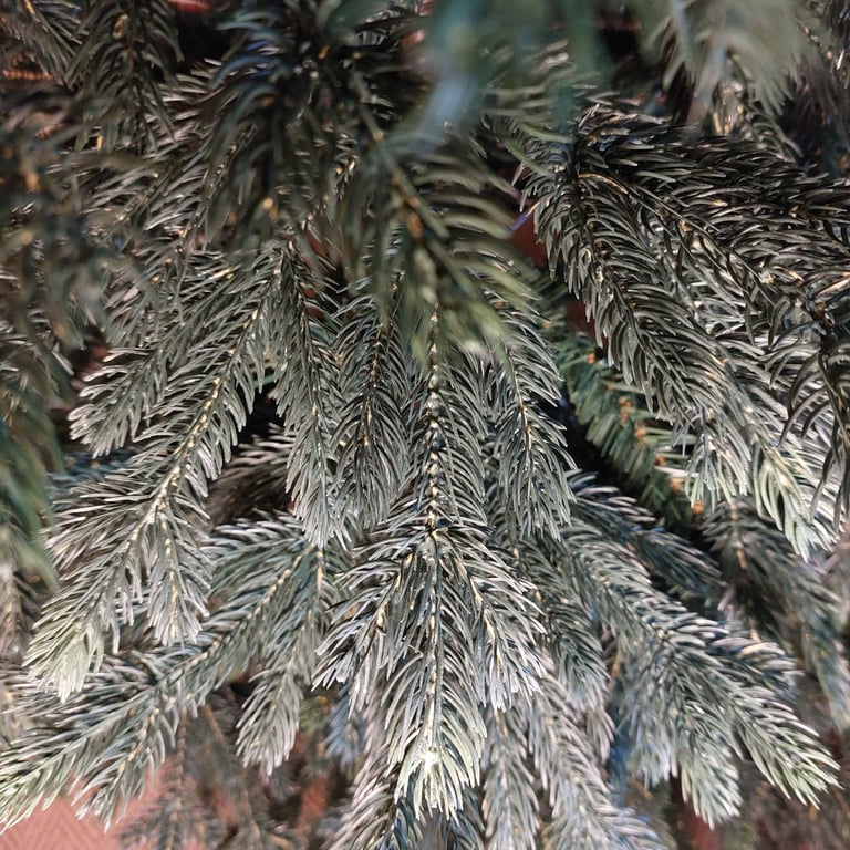 Balsam Hill 6foot artificial Christmas Tree