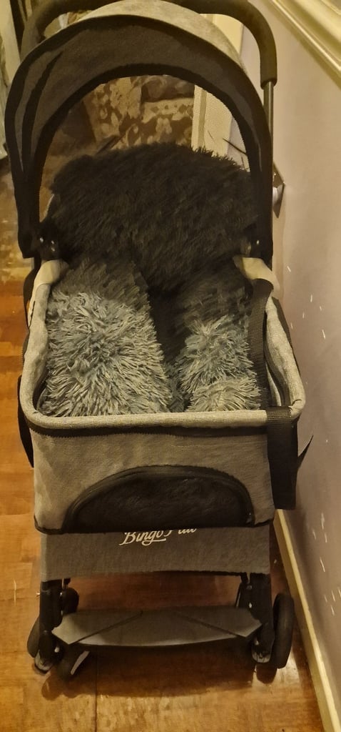 image for Dog pram 