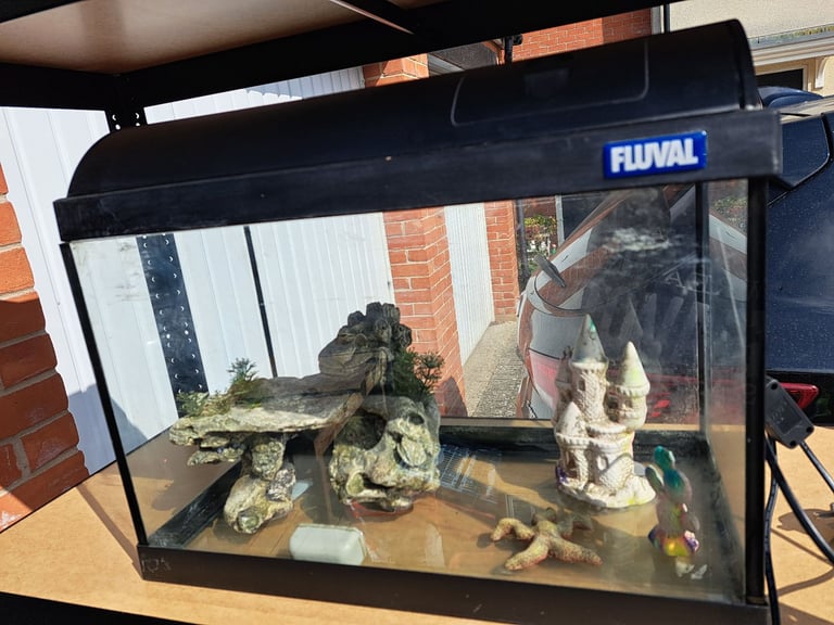Reptile tank/ terrarium
