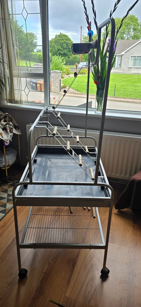 Parrot play frame