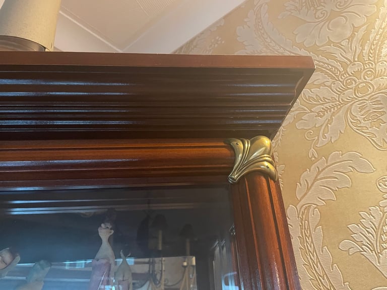 Tall Mahogany Glass unit 