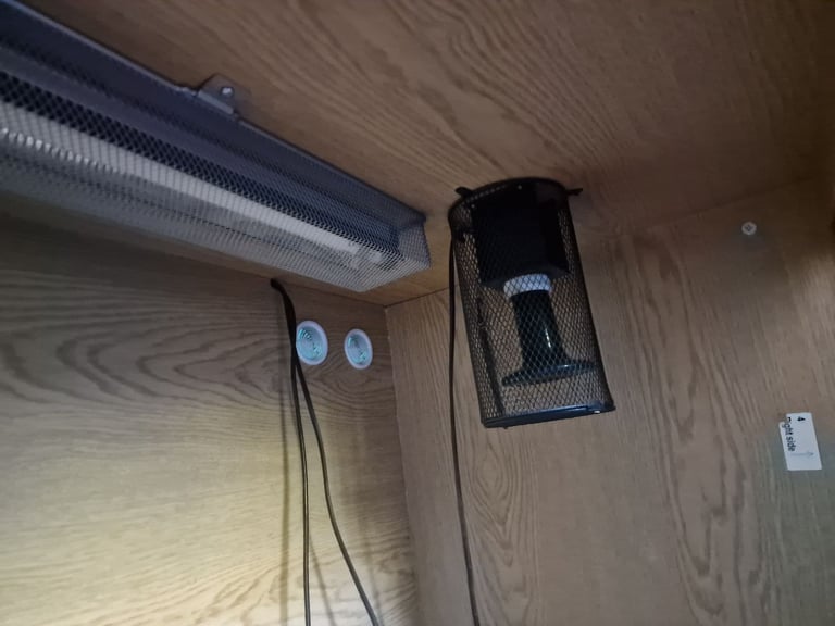 Large Vivarium for sale