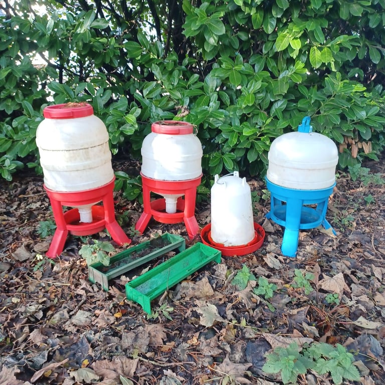 Feeders and drinkers for hens