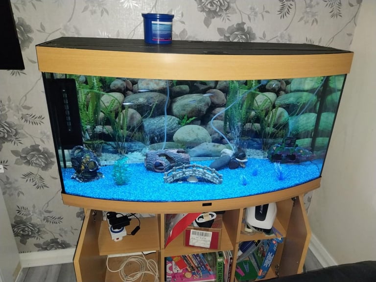 Fish Tank, £99 new owner wanted