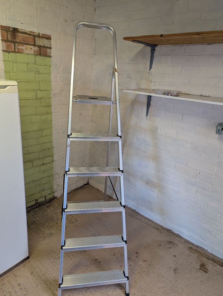 Werner Metal Step Ladder 