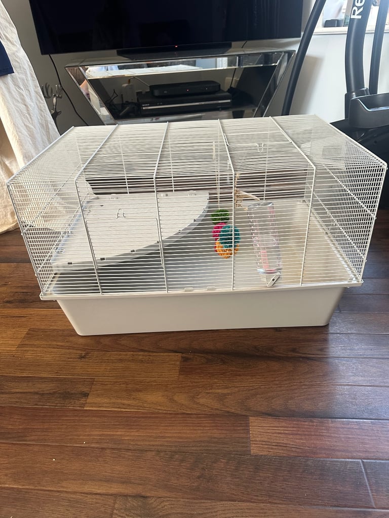 hamster cage 