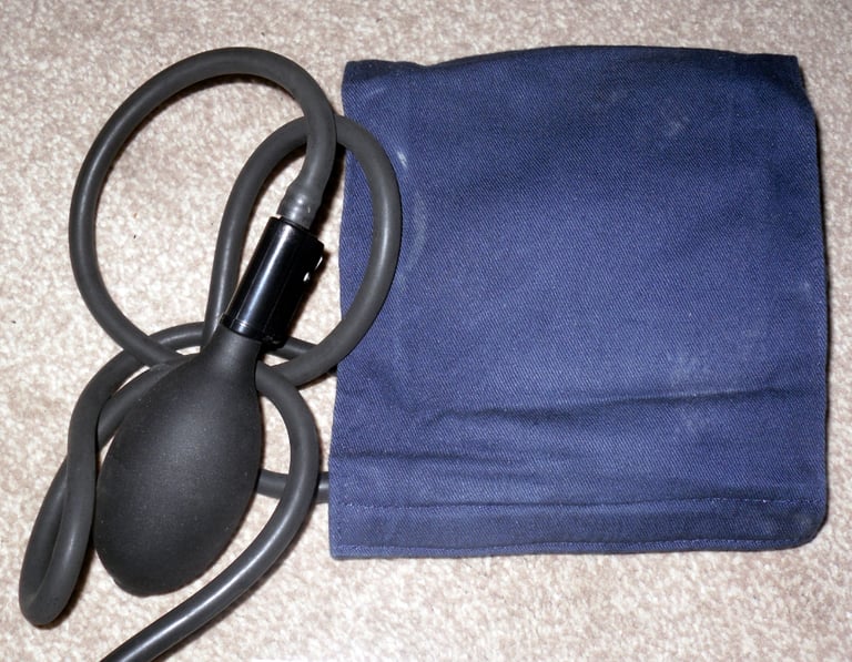 Digital Electronic Blood Pressure Monitor DS-111