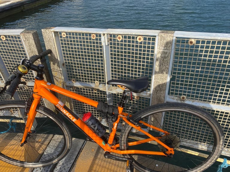 STOLEN Bike - reward offered - Pinnacle Lithium