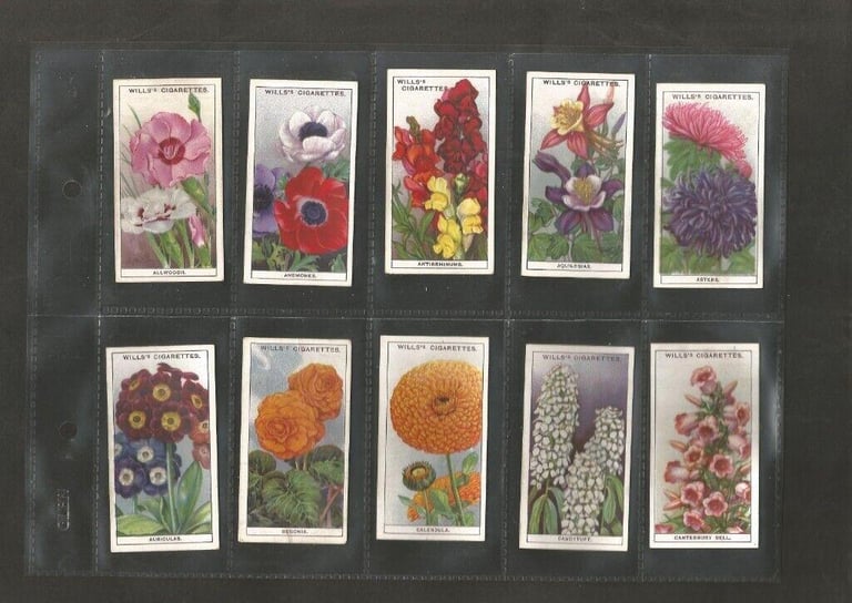 A lovely Vintage Original Full set of 50 Cigarette Cards dating from 1933 Flowers