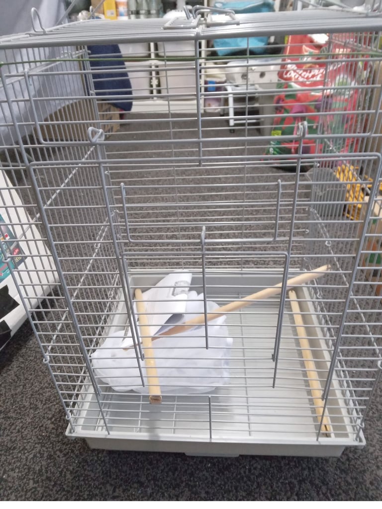 Bird cage 