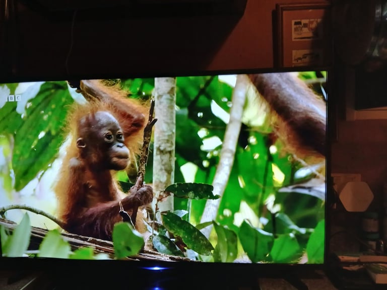 SMART TV WITH REMOTE YouTube Netflix all apps etc £95 