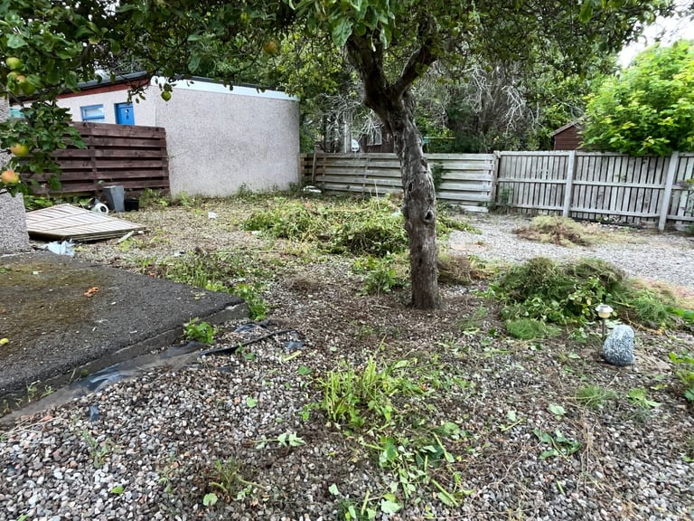 image for Autumn Gardening and Eradication of Wild-Growing Ivy