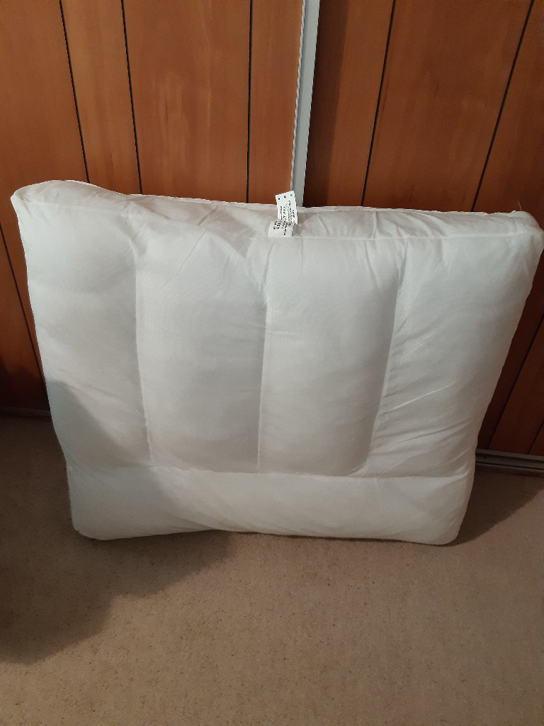 2 large floor/ upholstery cushions