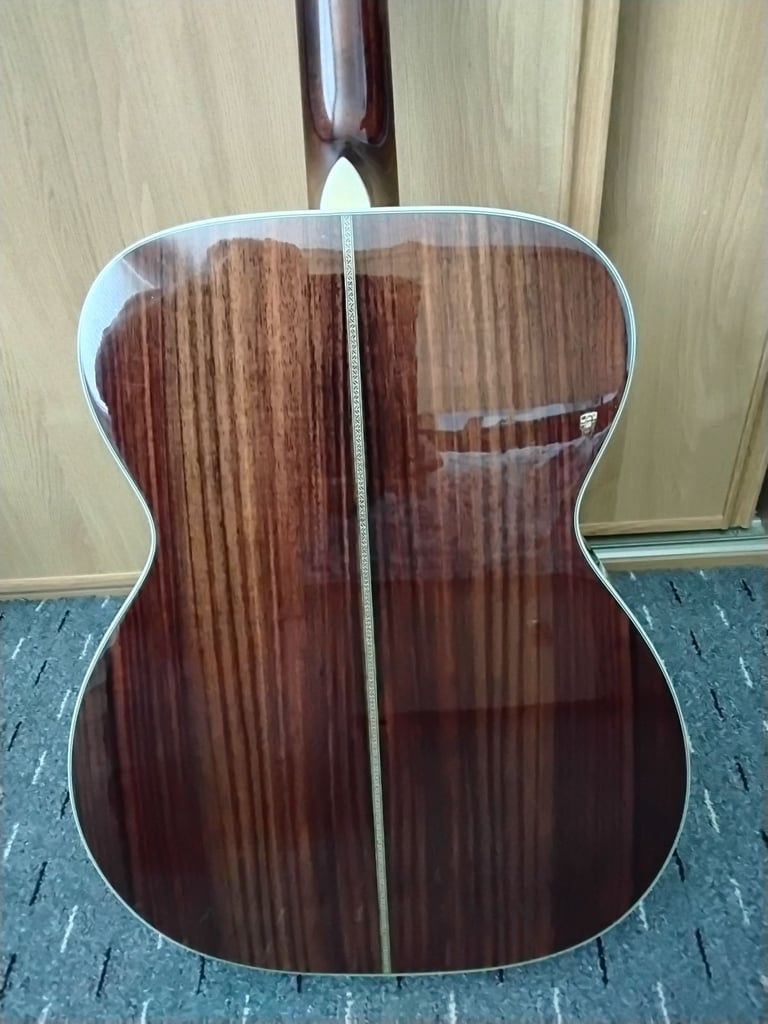 Eastman E20 OM with lr baggs element pick up