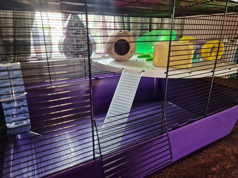 Large hamster cage