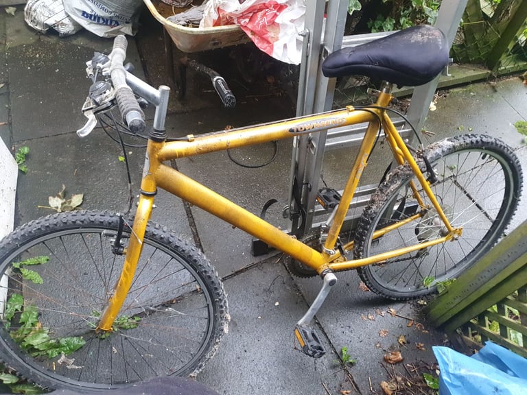 image for Townsend Gold coloured mens cycle