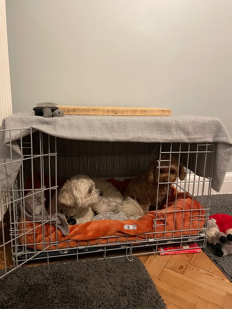 Dog crate 