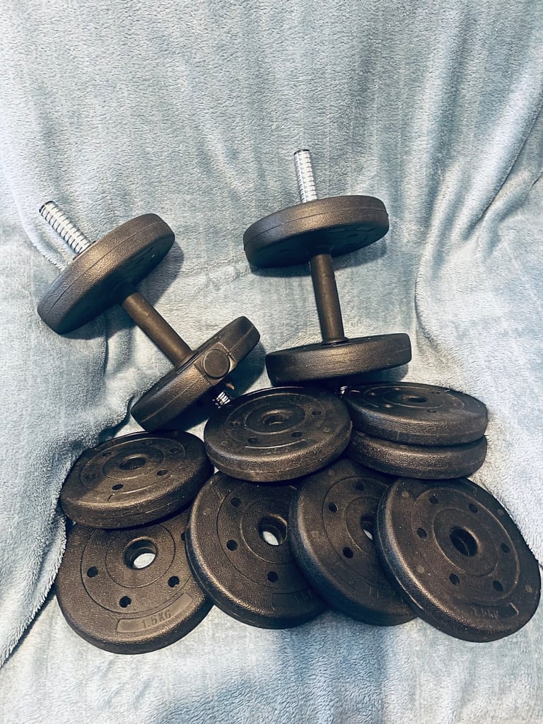 image for 2 Dumbbells. 12 x Weights. EXCELLENT CONDITION. 