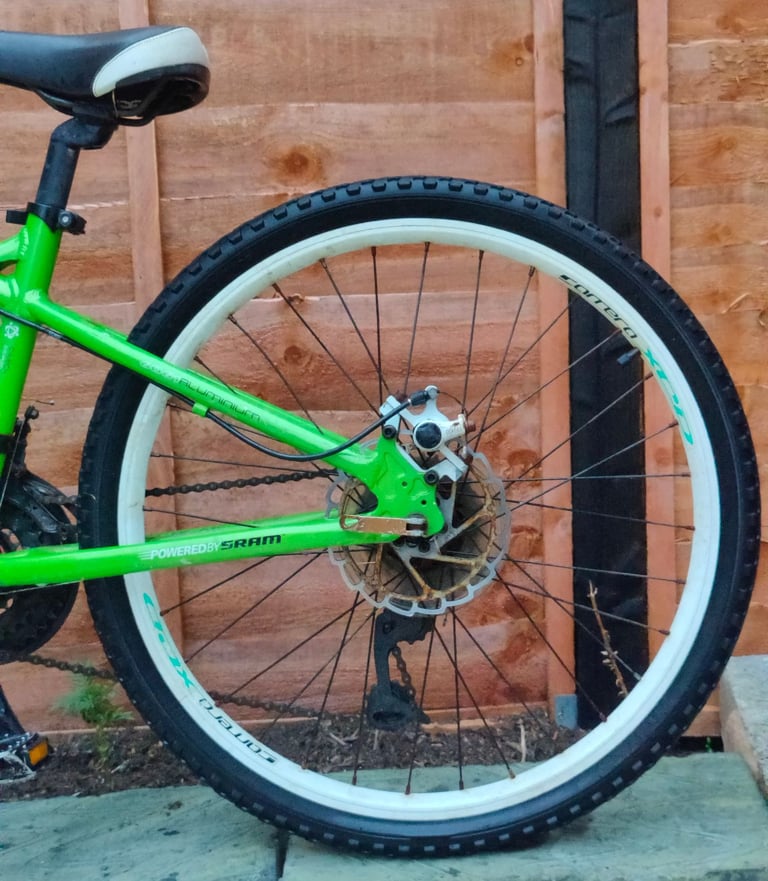 Carrera blast junior mountain bike